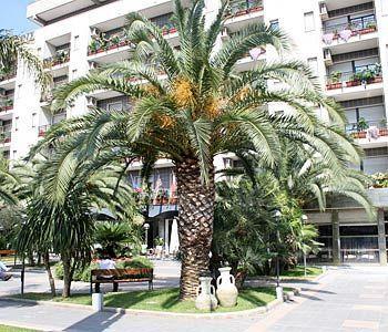Rondo' Hotel Μπάρι Εξωτερικό φωτογραφία